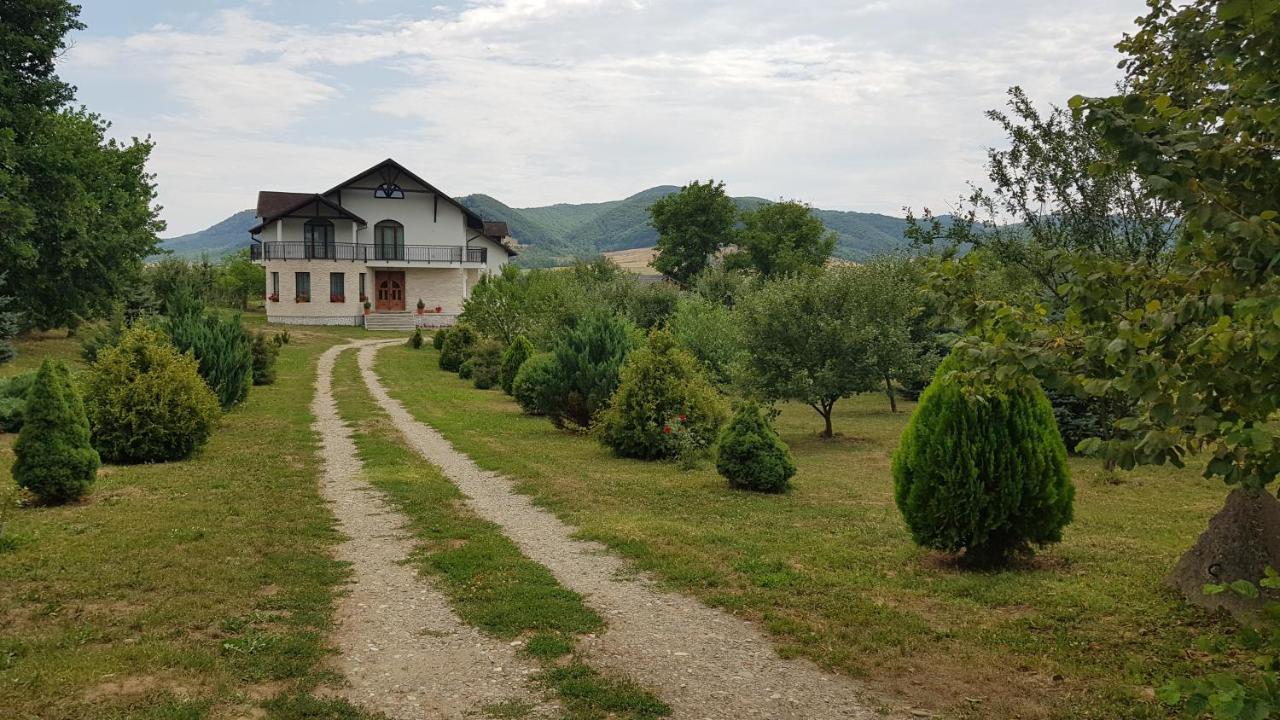 Natura Chalet Gilgau Exterior foto